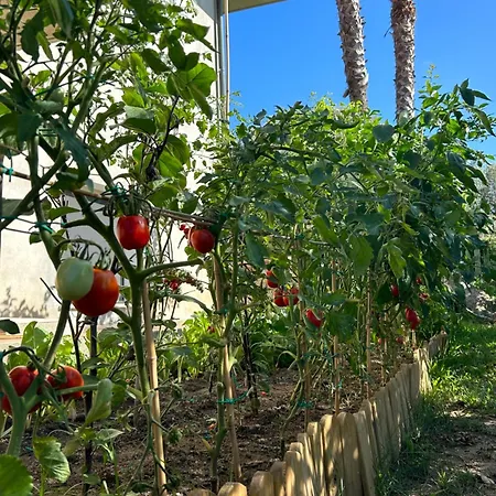 Alto Giardino *