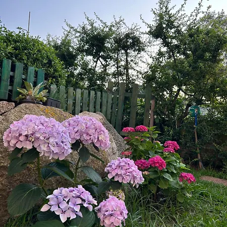 דירה Alto Giardino זמברונה