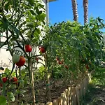 Alto Giardino *