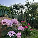 Lejlighed Alto Giardino Zambrone