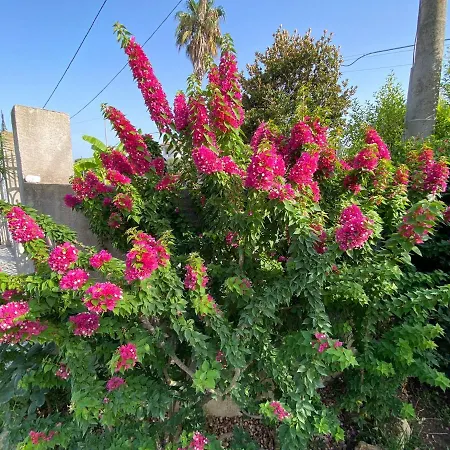 Alto Giardino * Zambrone