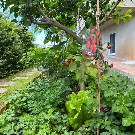 Alto Giardino * Zambrone