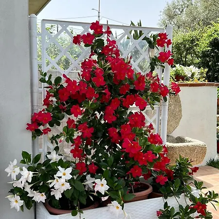 Alto Giardino Zambrone