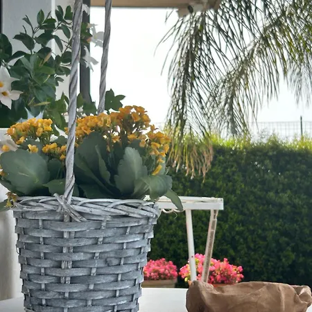 Alto Giardino