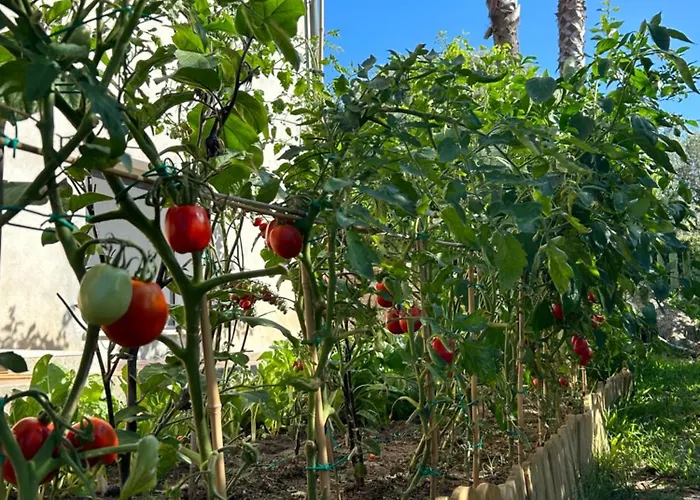Alto Giardino *