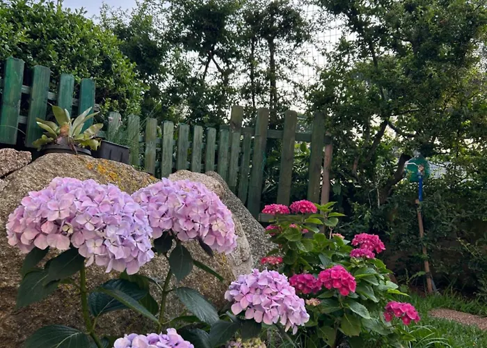 Apartamento Alto Giardino Zambrone