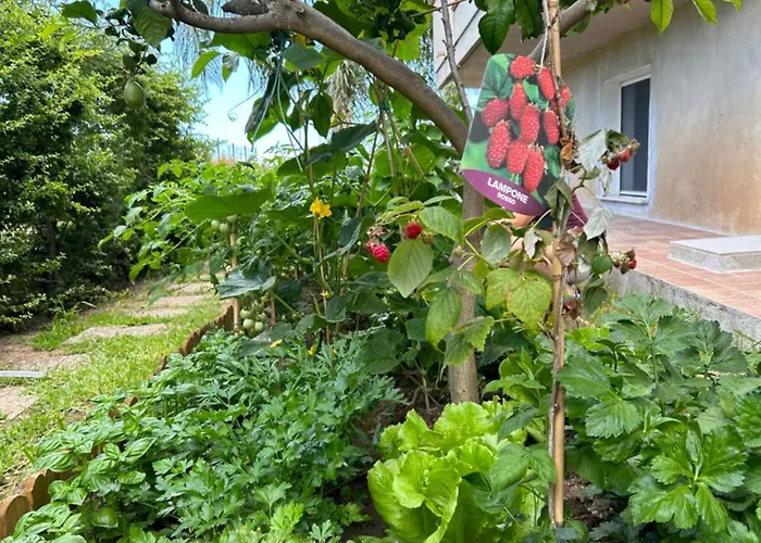 Alto Giardino * זמברונה