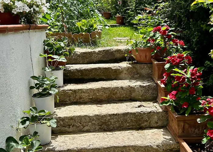 Apartment Alto Giardino